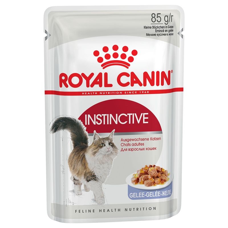 Royal Canin Instinctive Umido in Gelatina per Gatti 12x85g Royal Canin Instinctive Umido in Gelatina per Gatti 12x85g
